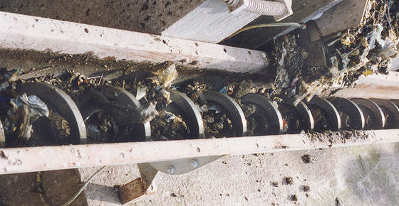 Enige de Riemtransportband van de Schachtschroef voor Stedelijke Waterplant